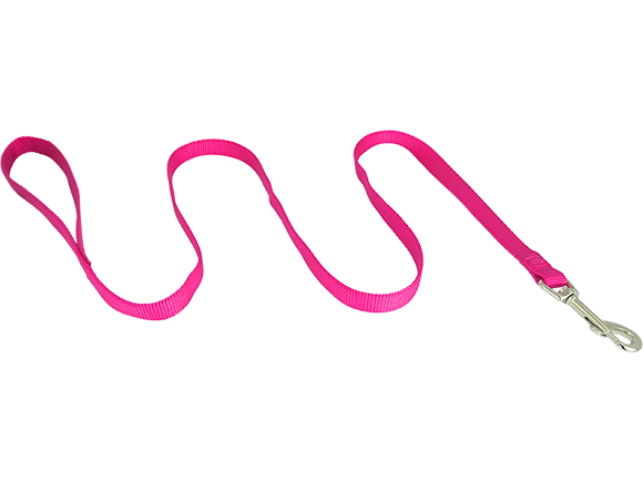 Durable Solid Color Nylon Leash